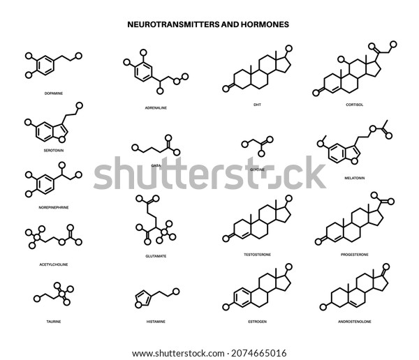 Set of chemical formulas of hormones and\
neurotransmitters in brain. Serotonin and dopamine icons.\
Physiological processes in the human body. Adrenaline and\
acetylcholine molecules vector\
illustration