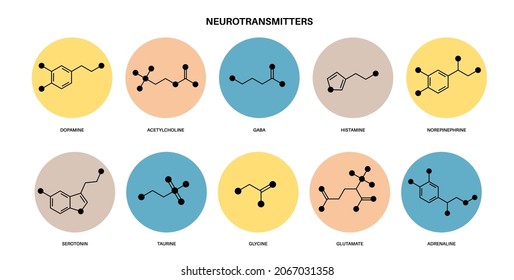 Neurotransmitters svg