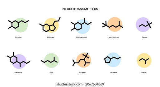 Set of chemical formulas of neurotransmitters. Hormones in the human brain and cns. Gaba, glycine, histamine, glutamate icons. Taurine, adrenaline and acetylcholine molecules flat vector illustration.