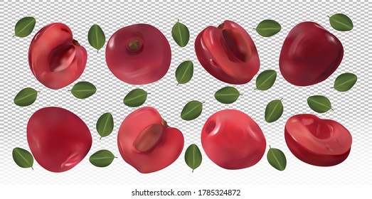 Set of cherries with leaves on transparent background. Motion cherry. Flying cherry are whole and cut in half. Ripe fresh cherry rich in vitamins, natural product. Realistic vector illustration.