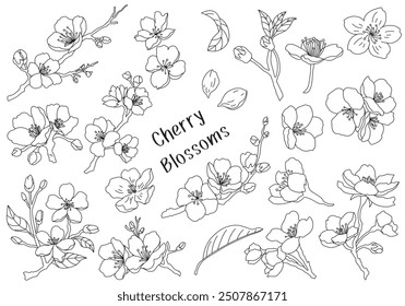 Set of cherry blossom black and white line elements vector illustration