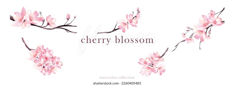 Set of cherry blossom bouquet watercolor vector elements design. Suitable for decorative spring festivals, Winter, Valentine's Day, invitations, or greeting cards.