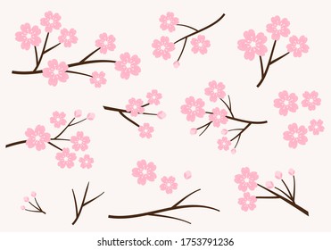 Set of cherry blossom branch isolated on background vector illustration. Sakura Japanese flower collection. Flat design.