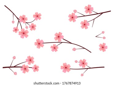 7,436 Asian cherry blossom print Images, Stock Photos & Vectors ...