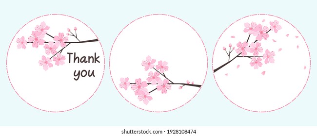 Set of Cherry blossom branch, white circle signs isolated on blue background vector illustration.