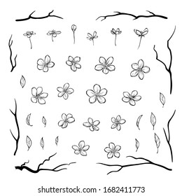 Set of cherry blossom flowers leaves and black branches in outline style for greeting cards, invitations or pattern