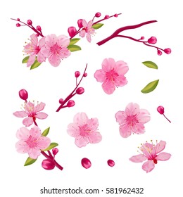 Set of cherry blossom, leaves, branch. Spring sakura design elements.