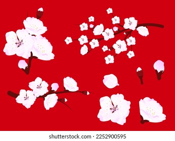 Set of cherry blossoms, branches and flowers. Elements of spring design. Vector illustration in Asian style on red background