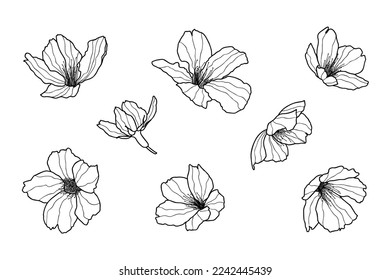 Conjunto de flores y logotipo de flores de cerezo. Elementos botánicos de moda. Hojas, ramas y floración dibujadas a mano. Boda de flores silvestres elegantes para invitación, salva la tarjeta de fecha. Diseño lineal vectorial.