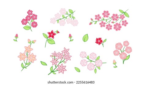 Flores de cerezo en ramas