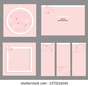 Set of cherry blossoms, spring flower  vector illustration on pink background ,Japanese sakura flowers.