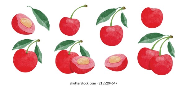 Set of Cherry fruit with leaves Design elements. watercolour style vector illustration.