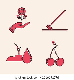 Set Cherry, Hand holding flower, Garden rake in work and Watering sprout icon. Vector
