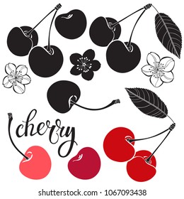 Set of cherry isolated on white background. Hand drawn vector illustration, sketch. Elements for design.