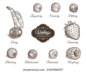 Set of cherry, lingonberry, cranberry, bilberry, blueberry, blackcurrant, redcurrant, raspberry, strawberry in vintage style isolated on white background. Vegetarian organic food. Vector Illustration.