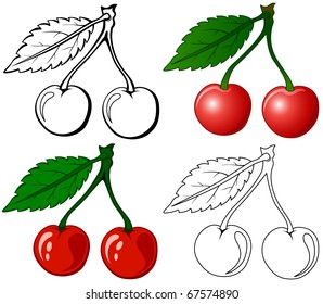 Set of Cherry on white background, illustration