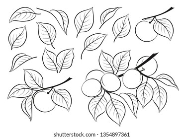 Set of Cherry Plums, Berries and Leaves, Black Pictograms Isolated on White. Vector.