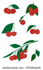 Set of cherry sprigs isolated on a white background.
