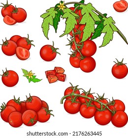 Set of cherry tomatoes for banners, flyers, posters, social media. Branch, whole, half, quarter cherry tomato. Fresh vegetables. Cartoon style. Vector illustration isolated on white background.