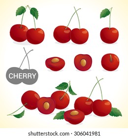 Set of cherry in vector and various styles