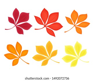 Set of chestnut leaves drawn on outline style. Chestnut tree leaves isolated on white background. Clipart elements for card, poster, banner, wallpaper, wrapping, textile, fabric, tile, print design