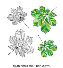 Set of chestnut leaves. Outline and colored version. Vector illustration, isolated on white