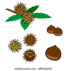 Set of chestnuts