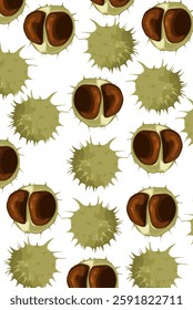 set of chestnuts castanea  pattern With Thorny green outer skin and brown seed issolated on white
