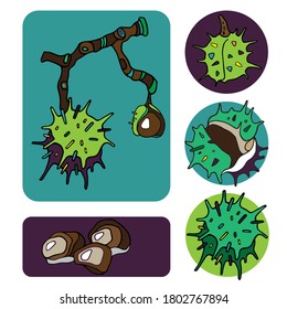 Set with chestnuts on color background. Flat style. Vector illustration.
Illustration for wrapping paper, post cards, prints for clothes, and emblems. 

