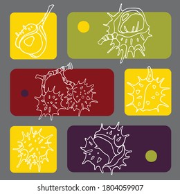 Set with chestnuts on color background. Flat style. Vector illustration.
Illustration for wrapping paper, post cards, prints for clothes, and emblems. 
