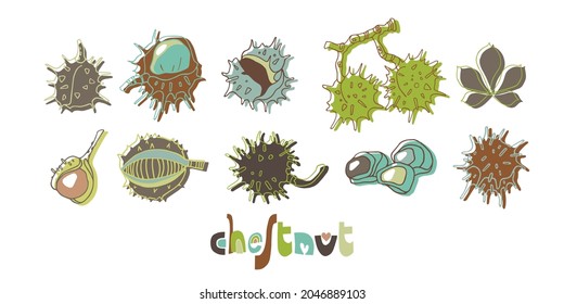 Set with chestnuts on white background. Flat style. Vector illustration. Illustration for wrapping paper, post cards, prints for clothes, emblems, advertising and packaging.