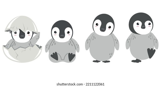 set of chic imperial penguin 