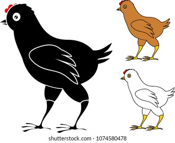 Set of chick in different colors on white background