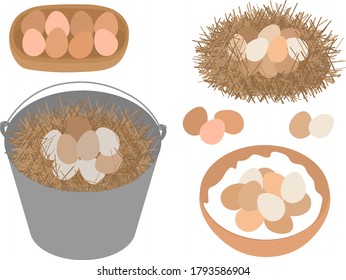 Reihe von Hühnereiern in einer Ecketbox-Platte Nest Vektorgrafik