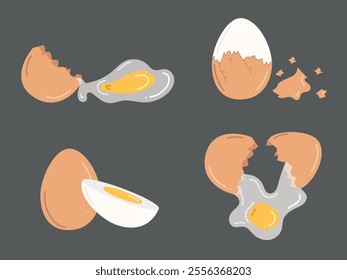 Set of chicken eggs. Hand drawn vector illustration in flat style. Whole brown eggshell eggs, boiled, fried eggs, yolk, broken eggshells. Concept of tasty breakfast, farm, cooking