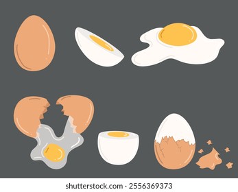 Set of chicken eggs. Hand drawn vector illustration in flat style. Whole brown eggshell eggs, boiled, fried eggs, yolk, broken eggshells. Concept of tasty breakfast, farm, cooking