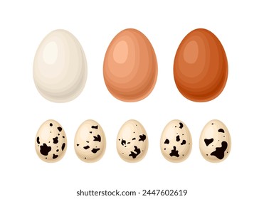 Set of chicken eggs isolated. White, light brown and dark egg. Vector cartoon flat illustrations.