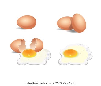 Set of chicken eggs on a white background. Whole egg and with a broken shell. Vector realistic illustration