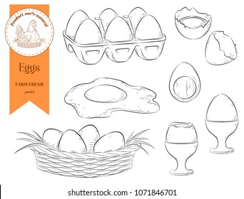 Set chicken eggs. Raw, boiled, fried.  Set of hand drawn organic food.  Isolated circuit. Vector illustration