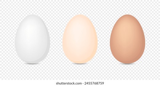 Juego de huevos de gallina. Ilustración vectorial. Concepto de comida orgánica