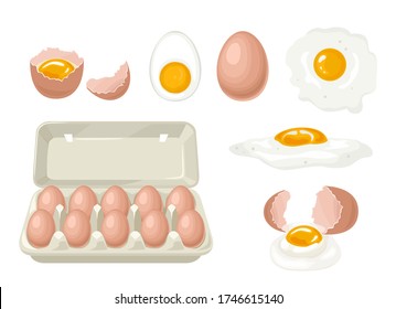 Set of chicken eggs. Whole eggs  in carton box, broken egg, yolk, boiled, fried egg and cracked shell. Vector illustration in cartoon flat style.