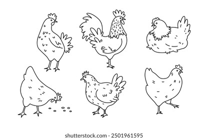 Conjunto de pollo. Ilustración vectorial dibujada a mano. Línea de arte. objetos aislados sobre fondo blanco.