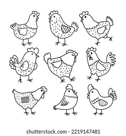 Set of chicken, hen, little chicken sketch hand drawn character icon vector illustration.