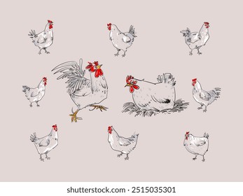 Conjunto de Ilustración vectorial de arte de línea dibujada a mano de pollo, gallina, gallo animal. Boceto, esbozo de estilo vintage de aves de corral granja de aves de colección de animales.