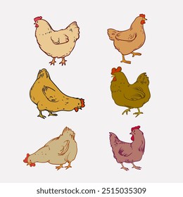 Conjunto de Ilustración vectorial de arte de línea dibujada a mano de pollo, gallina, gallo animal. Boceto, esbozo de estilo vintage de aves de corral granja de aves de colección de animales.