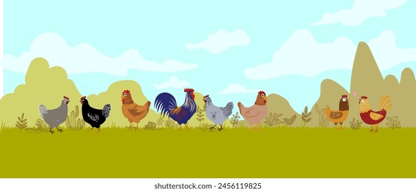 Set of chicken, hen, rooster cartoon domestic poultry farm animal collection.