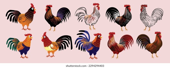 Set of chicken hen rooster icon character pet animal  vector illustration.