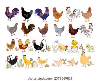 Set of chicken hen rooster poultry farm animal icon character vector illustration.