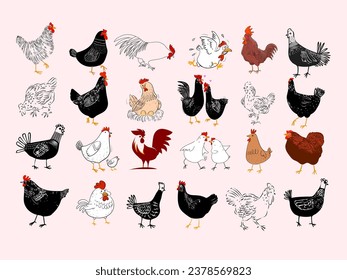 Set of chicken hen rooster poultry farm animal icon character vector illustration.