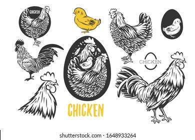 Set chicken logo, design emblem on white background